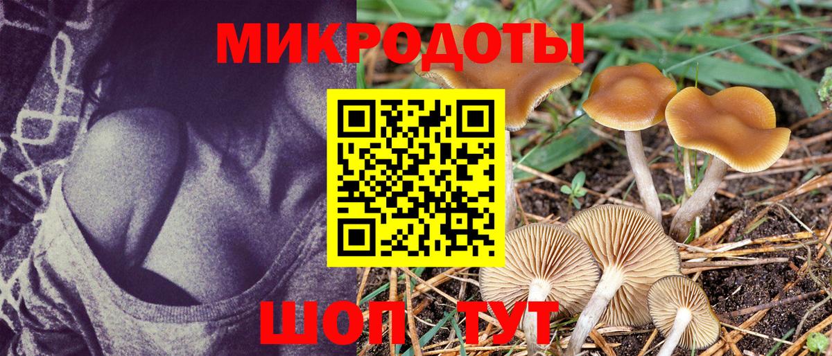 Новоуральск  Псилоцибиновые грибы GOLDEN TEACHER  продажа наркотиков  Вход с VPN 